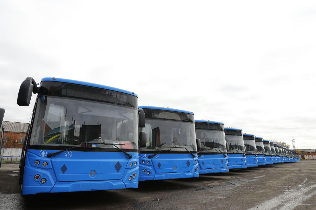 17 автобусов