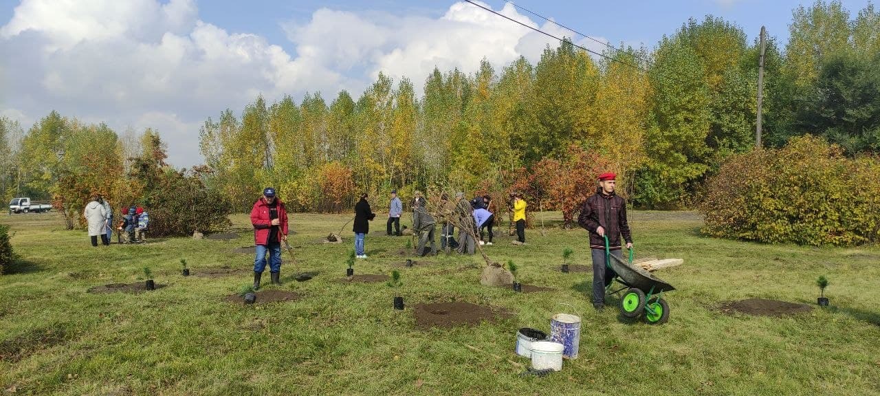 Около 800 тысяч молодых деревьев появится в Кузбассе в рамках экологических акций
