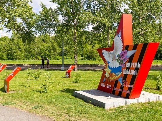 Кузбассовцы высадили более 350 тысяч деревьев в рамках международной акции «Сад памяти»