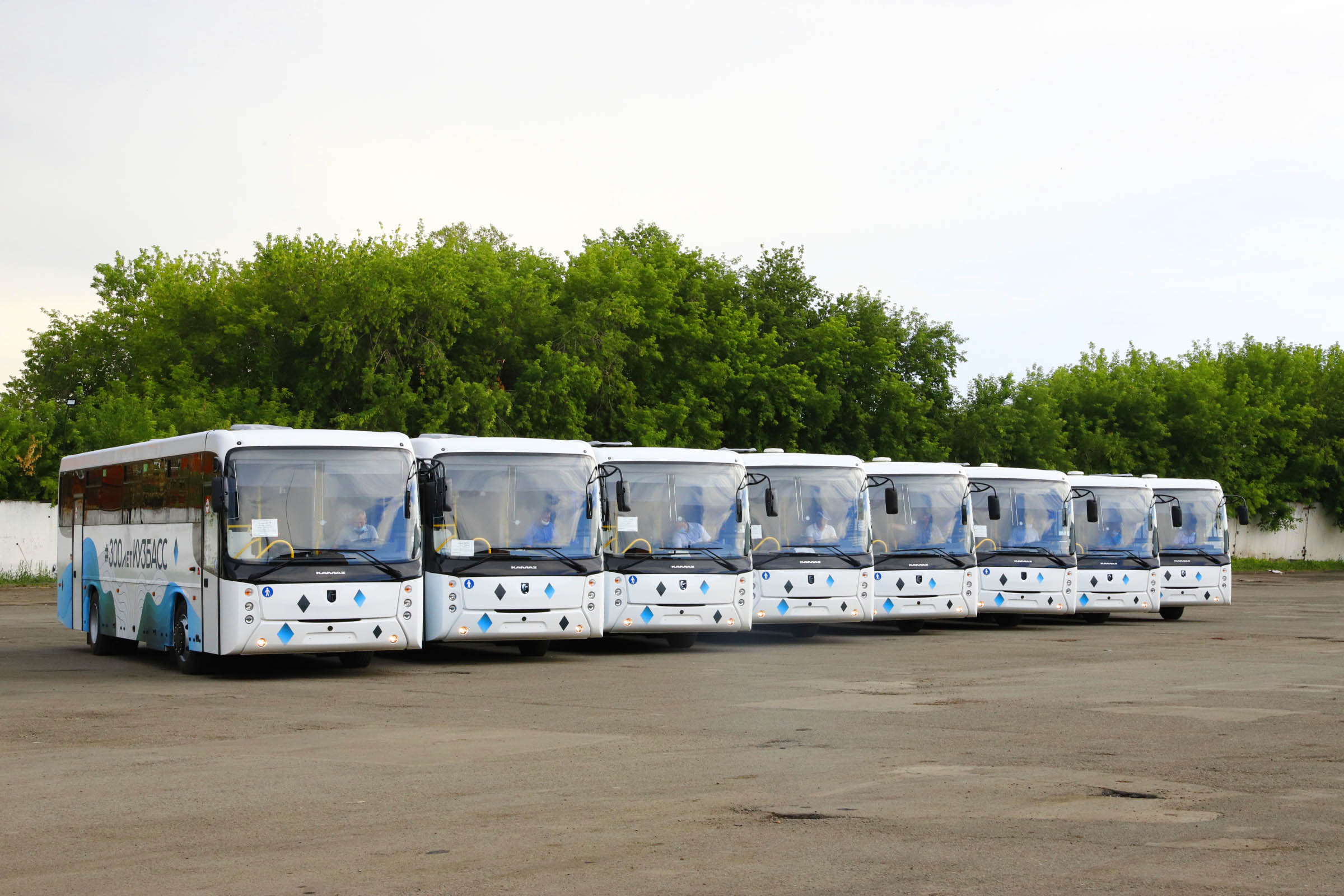 8 автобусов на сайт