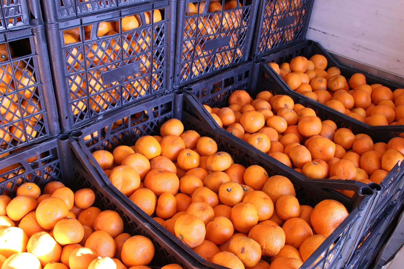 Цены на мандарины выросли почти на четверть