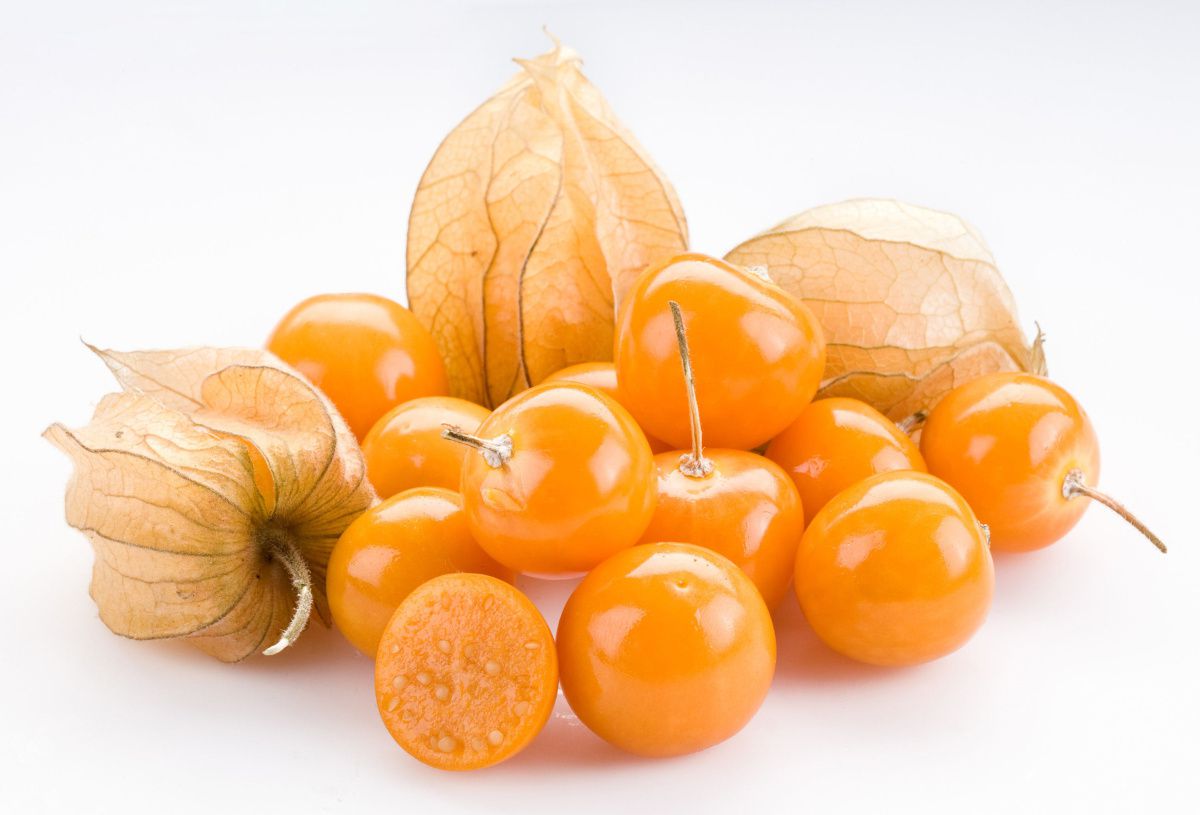 Ученые Иркутского поилтеха разрабатывают рецептуру съедобных капсул из местных ягод и фруктов