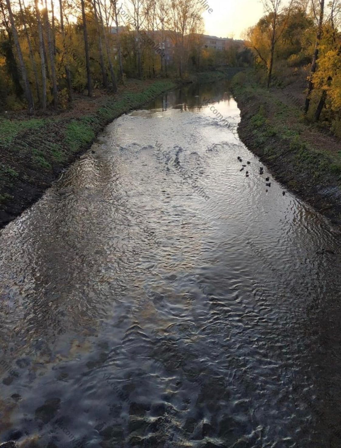 В Новокузнецке на реке обнаружили бензиновые пятна