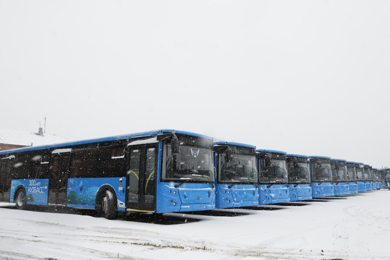 bus