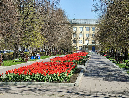 В этом сезоне город Кемерово украсят около 1 миллиона цветов