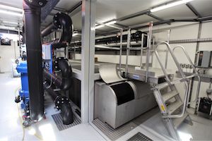 1IMG 7483