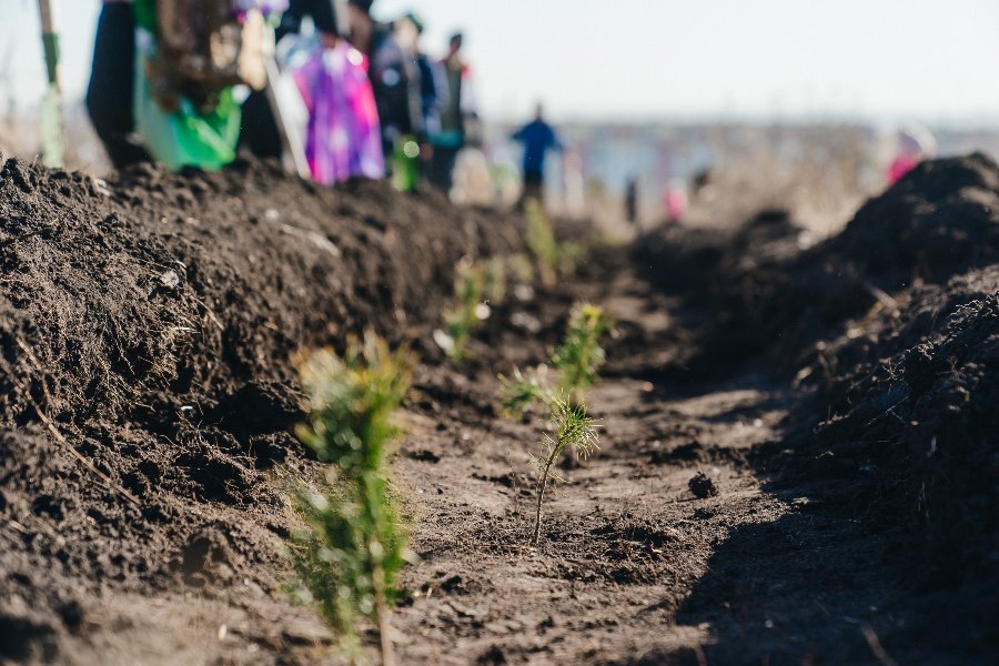 Фото предоставлено пресс-службой АПК 5226678503351192680