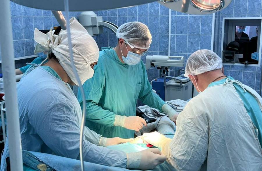 Фото предоставлено пресс-службой АПК 5257971248522792084