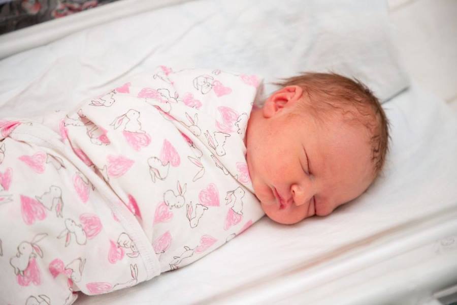 Фото предоставлено пресс-службой АПК 5289532171452353789