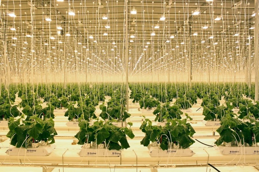 Фото предоставлено пресс-службой АПК 5289770980223945520