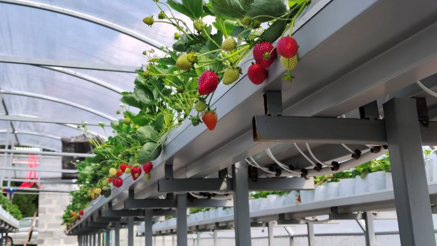 Фото предоставлено пресс-службой АПК 5294290290841684774