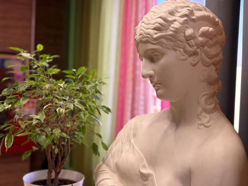 Фото предоставлено ООО «Е-Лайт-Телеком» Ex1