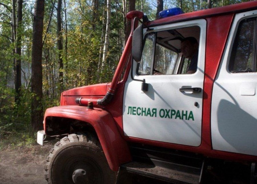 Лесная охрана Кузбасса приступила к патрулированию лесов