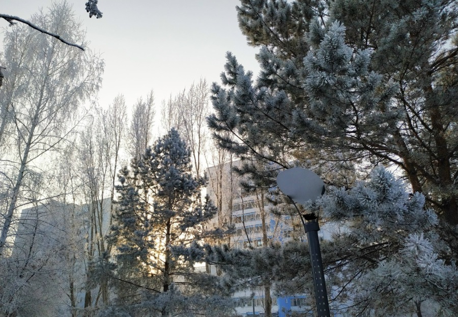 Фото: НИА-Кузбасс Moroz5