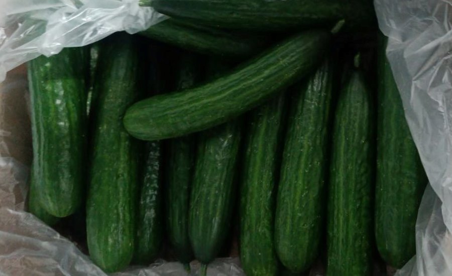 Фото Сибирского межрегионального управления Россельхознадзора Ogurcy