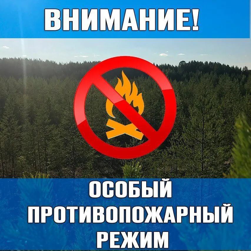 В Кузбассе сегодня начал действовать особый противопожарный режим