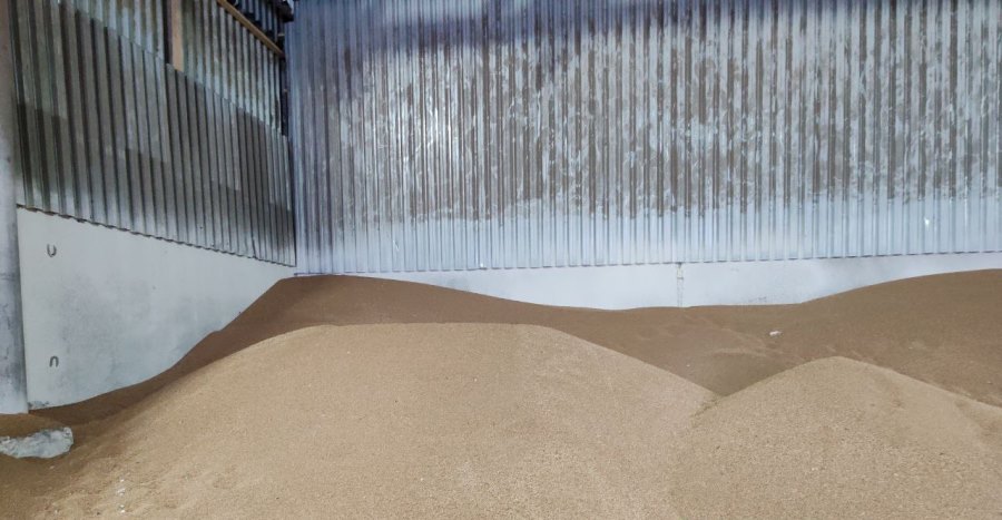 Фото: Сибирское межрегиональное управление Россельхознадзора Pshenica