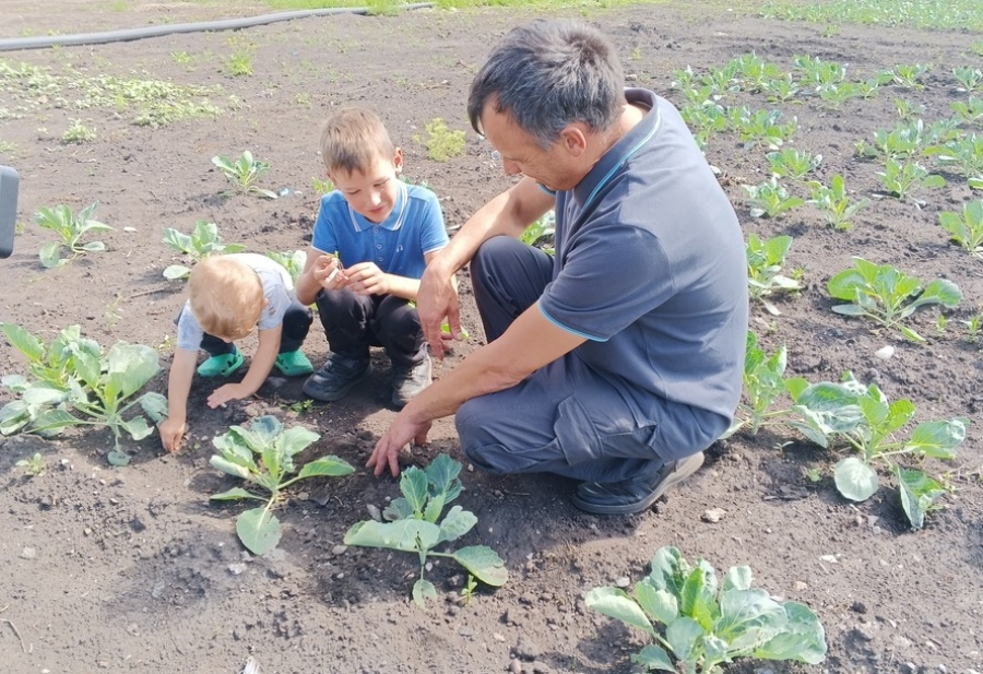 В Кузбассе стартовала программа «Семейное агропредпринимательство»