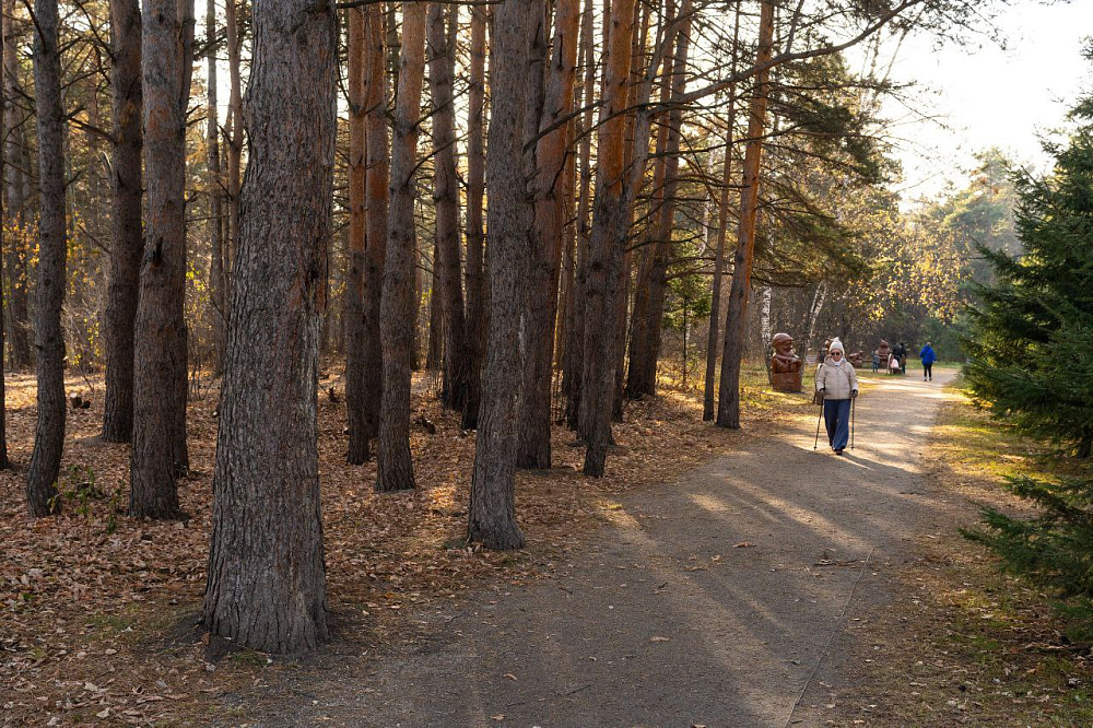 jg85mkp4ox96o2pyelipkwbo0f4wj40n