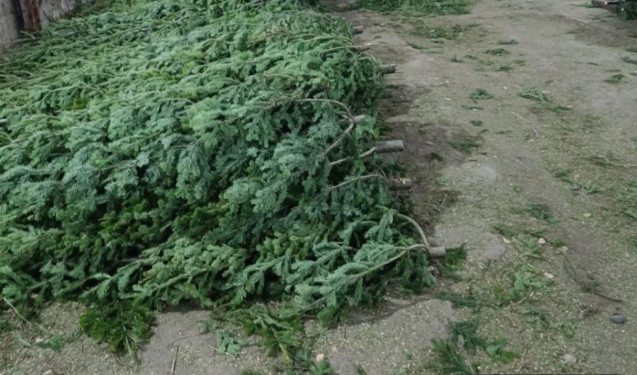 Фото Сибирского межрегионального управления Россельхознадзора photo 2025 11 13 15 25 11