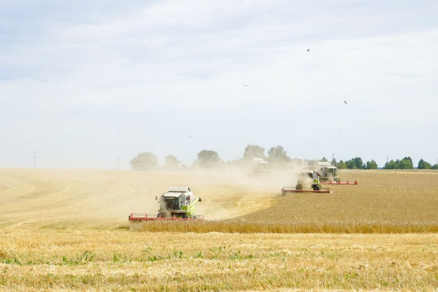 Фото предоставлено пресс-службой АПК photo 5226777854534684768 y