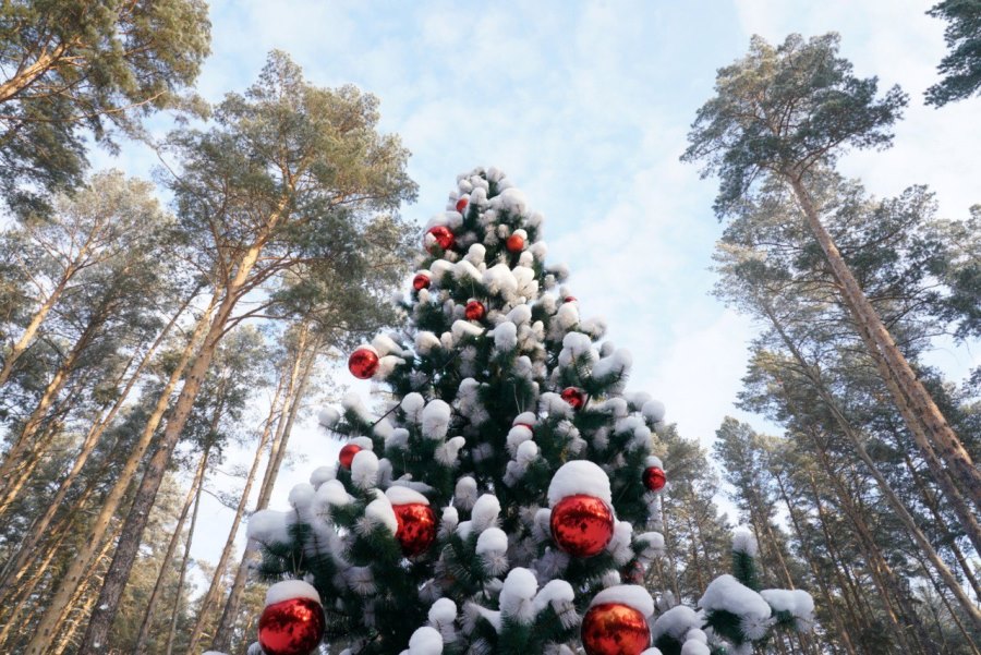 photo 5276166825932688416 y