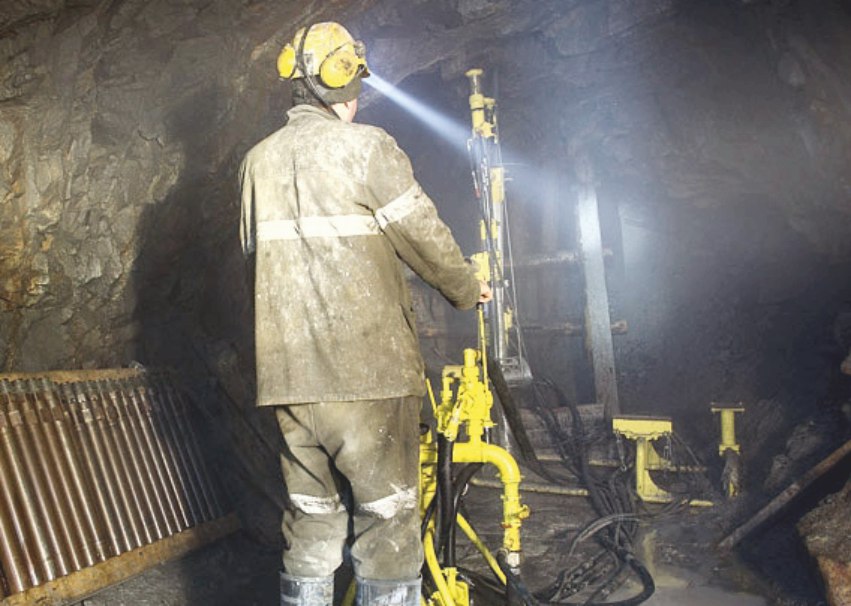 Фото предоставлено пресс-службой АПК photo 5321448107788668181 y