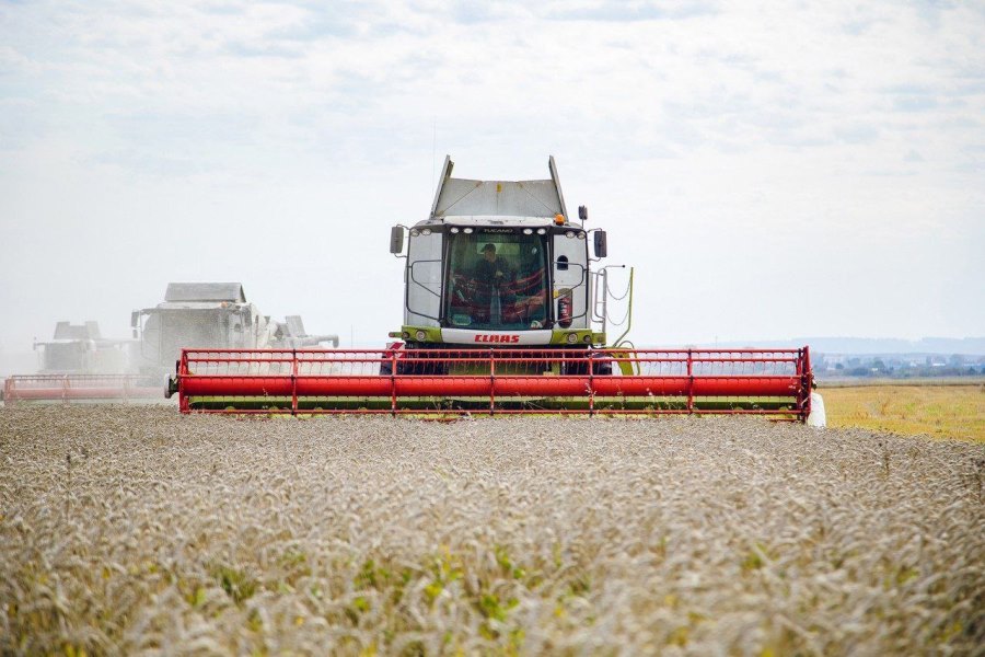 Фото предоставлено пресс-службой АПК photo 5373005702663704488 y