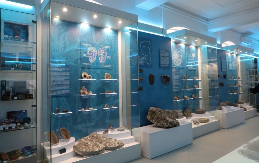 В Кузбасском государственном краеведческом музее открылась уникальная выставка «Обитатели древних морей»